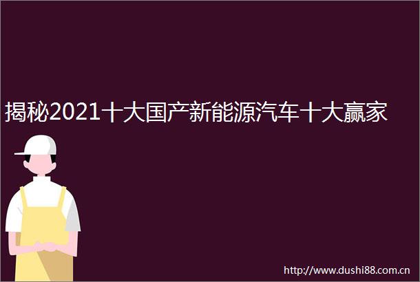 揭秘2021十大国产新能源汽车十大赢家