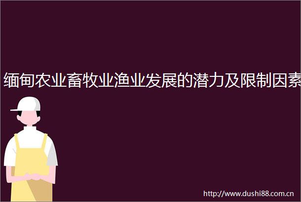 缅甸农业畜牧业渔业发展的潜力及限制因素