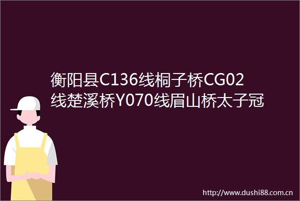 衡阳县C136线桐子桥CG02线楚溪桥Y070线眉山桥太子冠桥危桥改造工程项目竞争性磋商公告