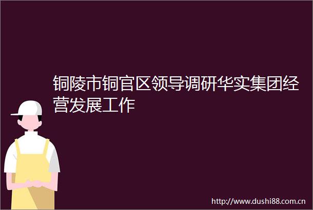 铜陵市铜官区调研华实集团经营发展工作