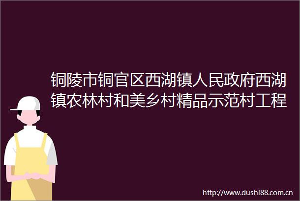 铜陵市铜官区西湖镇西湖镇农林村和美乡村精品示范村工程给水管网改造工程跟踪审核中标候选人公示