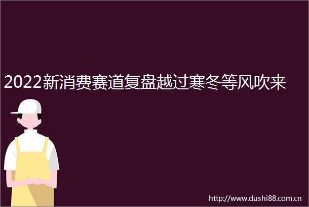 2022新消费赛道复盘越过寒冬等风吹来