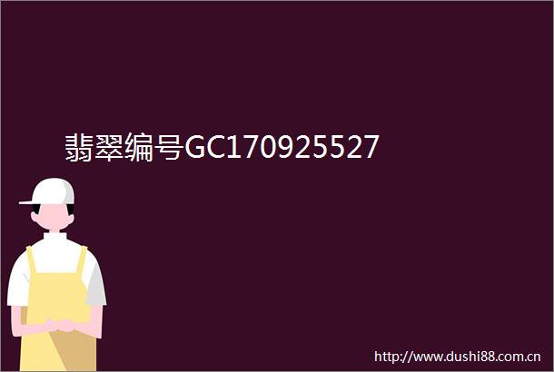 翡翠编号GC170925527