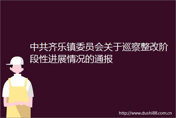 齐乐镇委员会关于巡察整改阶段性进展情况的通报