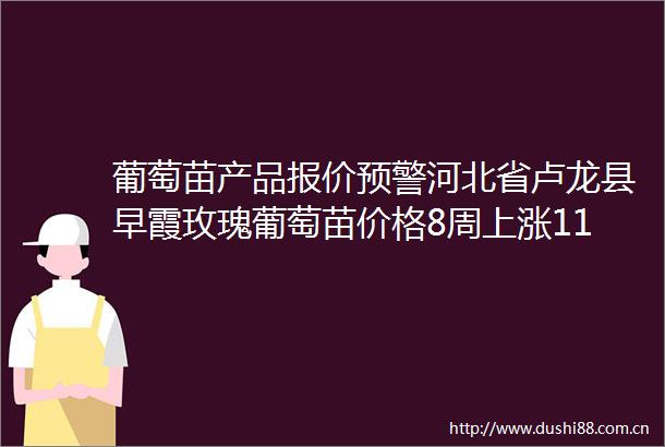 葡萄苗产品报价预警河北省卢龙县早霞玫瑰葡萄苗价格8周上涨1111（2025年06月23日）