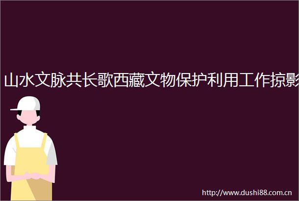 山水文脉共长歌西藏文物保护利用工作掠影