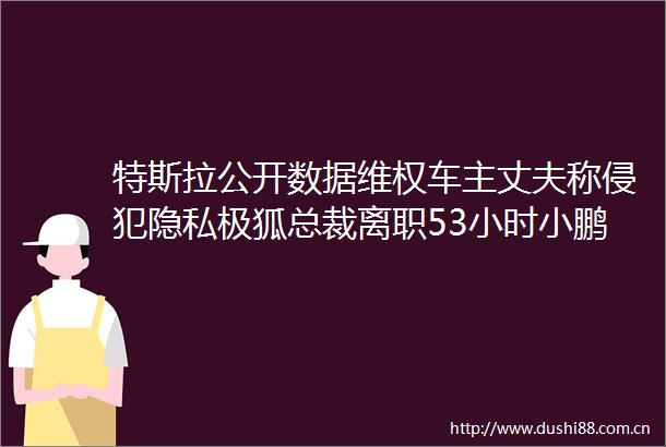 特斯拉公开数据维权车主丈夫称侵犯隐私极狐总裁离职53小时小鹏P5订单破万恒驰2025产销目标超100万