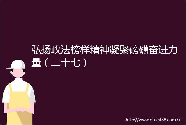 弘扬政法榜样精神凝聚磅礴奋进力量（二十七）