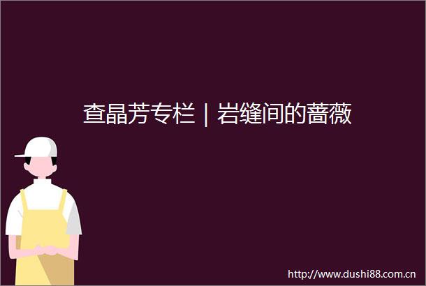 查晶芳专栏｜岩缝间的蔷薇