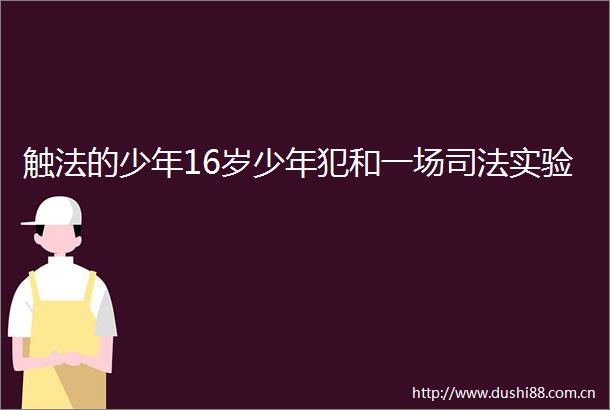 触法的少年16岁少年犯和一场司法实验