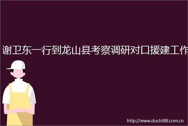 谢卫东一行到龙山县考察调研对口援建工作