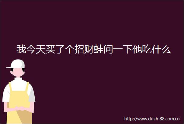 我今天买了个招财蛙问一下他吃什么