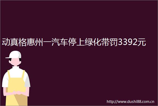 动真格惠州一汽车停上绿化带罚3392元