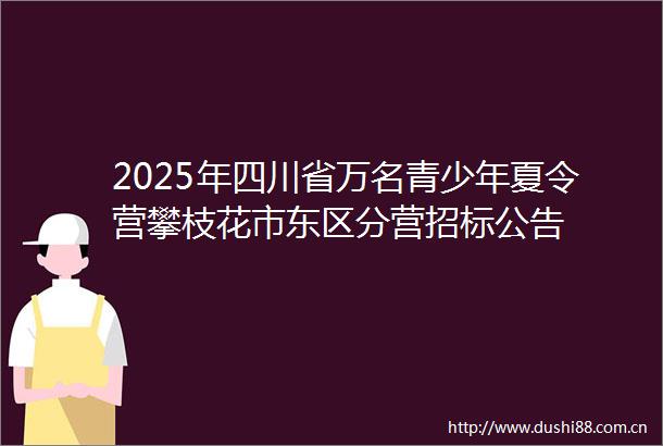 2025年四川省万名青少年夏令营攀枝花市东区分营招标公告