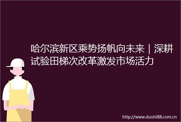哈尔滨新区乘势扬帆向未来｜深耕试验田梯次改革激发市场活力