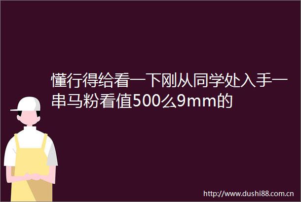 懂行得给看一下刚从同学处入手一串马粉看值500么9mm的