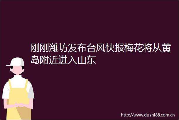 刚刚潍坊发布台风快报梅花将从黄岛附近进入山东