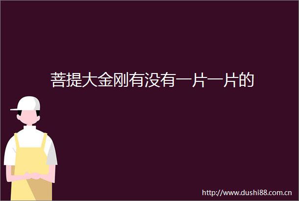 菩提大金刚有没有一片一片的