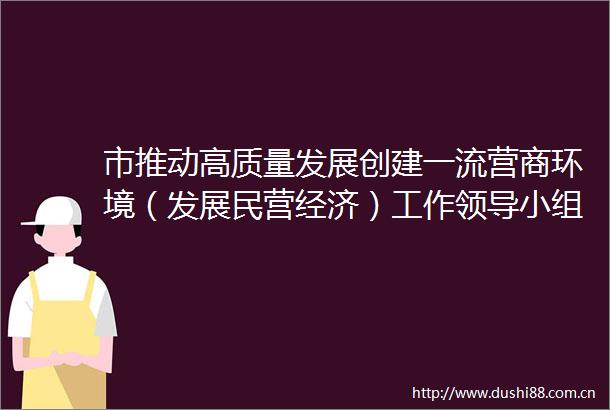 市推动高质量发展创建一流营商环境（发展民营经济）工作小组会议召开