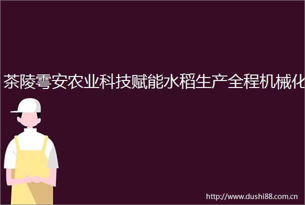 茶陵雩安农业科技赋能水稻生产全程机械化
