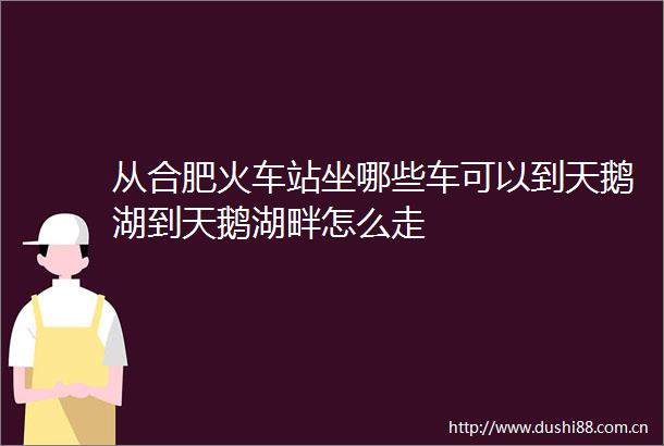 从合肥火车站坐哪些车可以到天鹅湖到天鹅湖畔怎么走