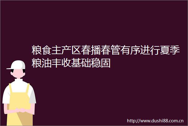 粮食主产区春播春管有序进行夏季粮油丰收基础稳固