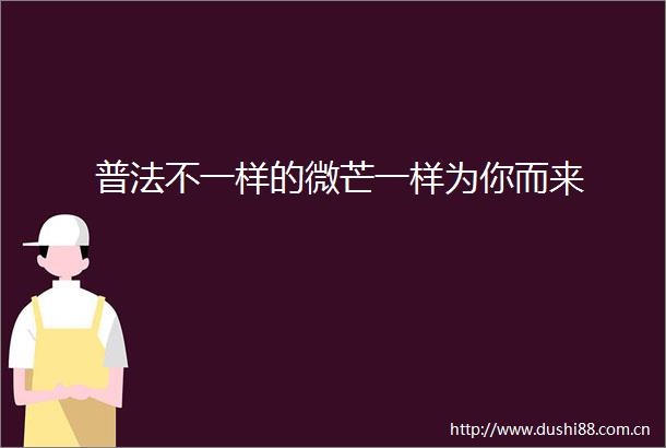 普法不一样的微芒一样为你而来