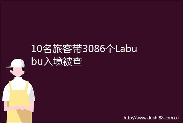 10名旅客带3086个Labubu入境被查