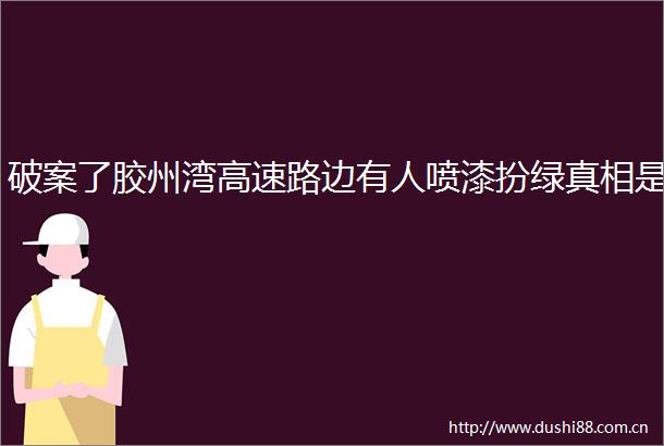 破案了胶州湾高速路边有人喷漆扮绿真相是