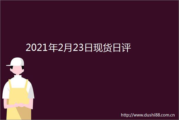 2021年2月23日现货日评