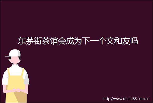 东茅街茶馆会成为下一个文和友吗