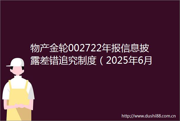 物产金轮002722年报信息披露差错制度（2025年6月修订）