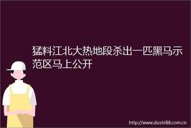 猛料江北大热地段杀出一匹黑马示范区马上公开