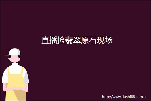 直播捡翡翠原石现场