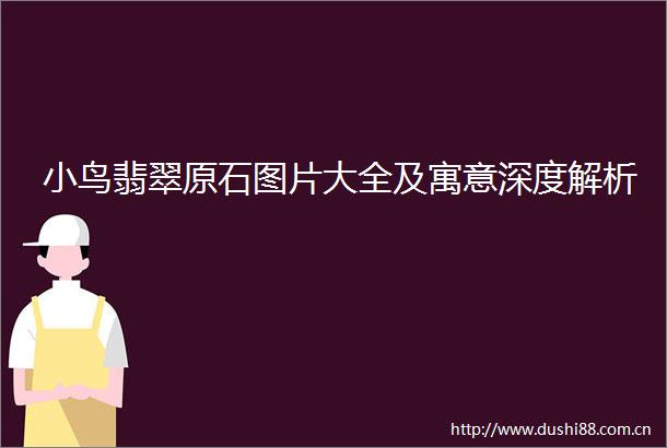 小鸟翡翠原石图片大全及寓意深度解析