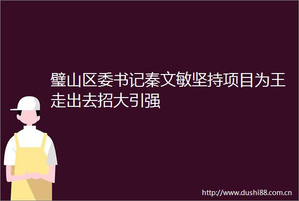 璧山区委书记秦文敏坚持项目为王走出去招大引强