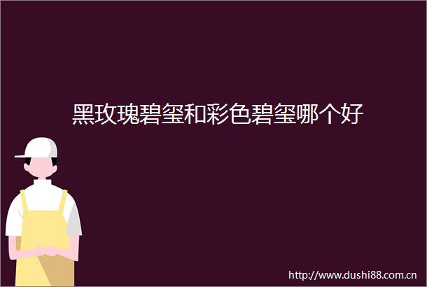 黑玫瑰碧玺和彩色碧玺哪个好