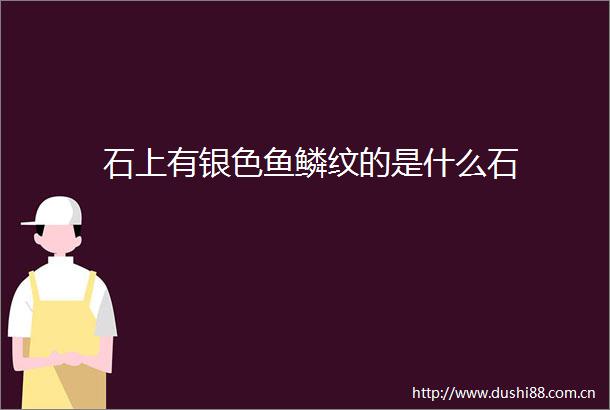 石上有银色鱼鳞纹的是什么石