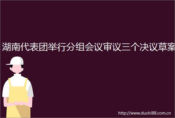 湖南代表团举行分组会议审议三个决议草案