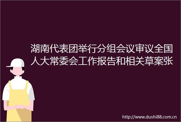 湖南代表团举行分组会议审议全国人大常委会工作报告和相关草案张庆伟毛伟明等参加讨论