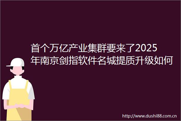 首个万亿产业集群要来了2025年南京剑指软件名城提质升级如何实现错位竞争｜预见2025长三角