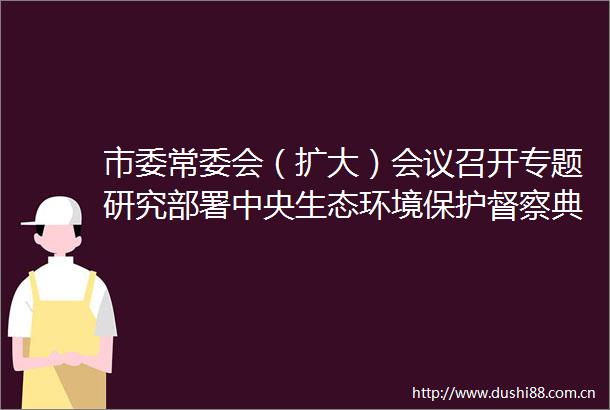 市委常委会（扩大）会议召开专题研究部署中央生态环境保护督察典型案例整改工作