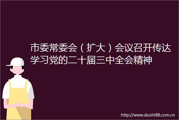市委常委会（扩大）会议召开传达学习党的二十届三中全会精神