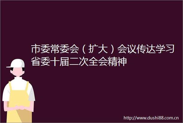 市委常委会（扩大）会议传达学习省委十届二次全会精神