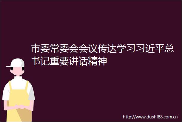 市委常委会会议传达学习总书记重要讲话精神