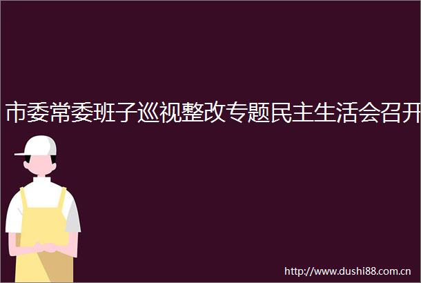 市委常委班子巡视整改专题民主生活会召开