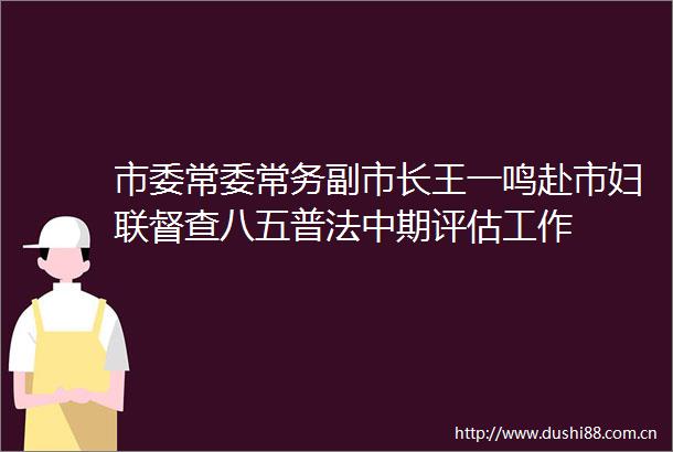 市委常委常务副市长王一鸣赴市妇联督查八五普法中期评估工作