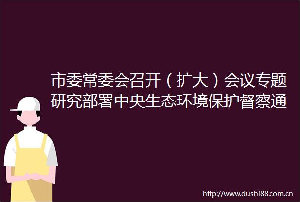 市委常委会召开（扩大）会议专题研究部署中央生态环境保护督察通报典型案例整改工作
