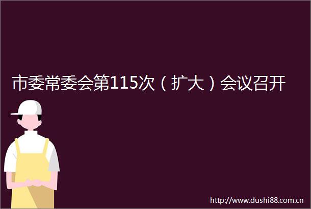 市委常委会第115次（扩大）会议召开