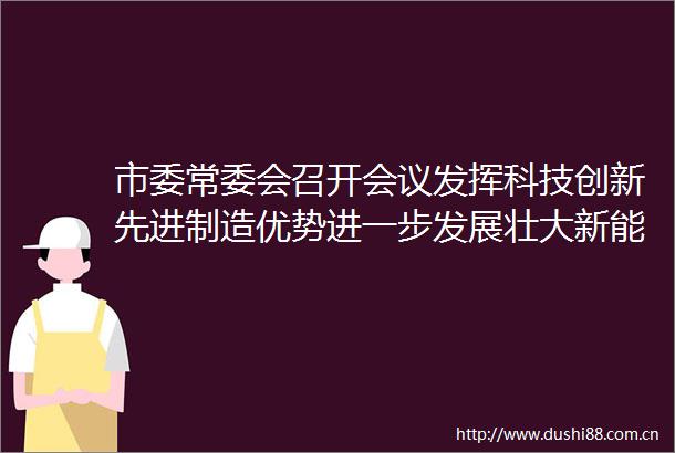 市委常委会召开会议发挥科技创新先进制造优势进一步发展壮大新能源产业